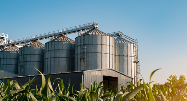 Blockchain food traceability can revolutionize the industry