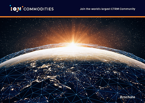 ION Commodities Brochure