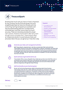 TreasuraSpark Fact Sheet