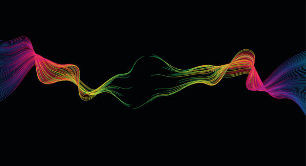 Software and industry evolution