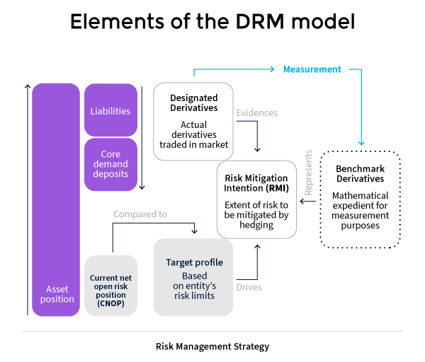 Elements of the DRM Model