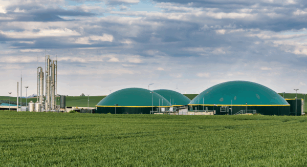 Making sense of renewable fuel and Renewable Natural Gas complexity: Six strategic insights from the ION and Comtech Advisory whitepaper